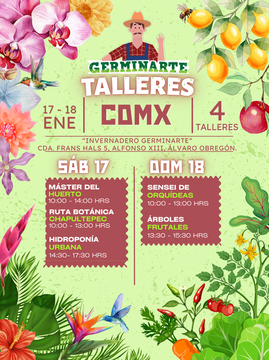 CDMX 17 Y 18 DE ENERO