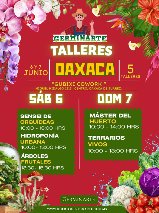 Oaxaca   7 y 8 de junio
