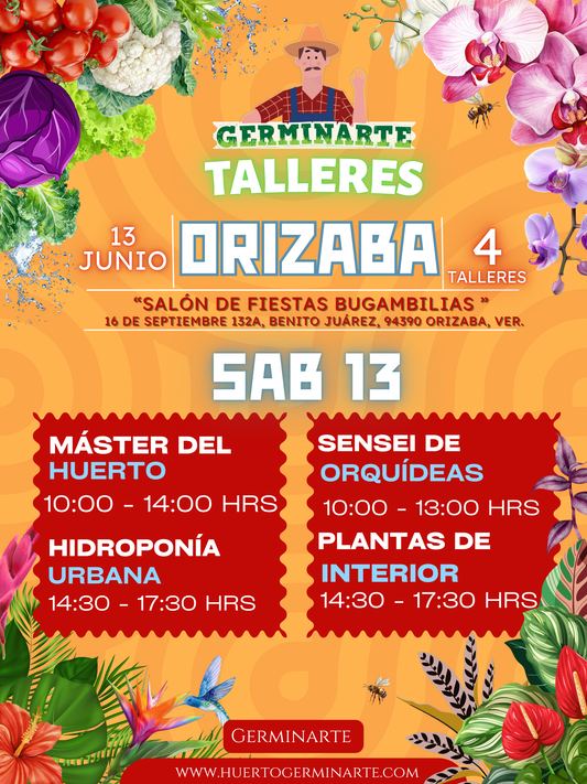 ORIZABA 13 DE JUNIO
