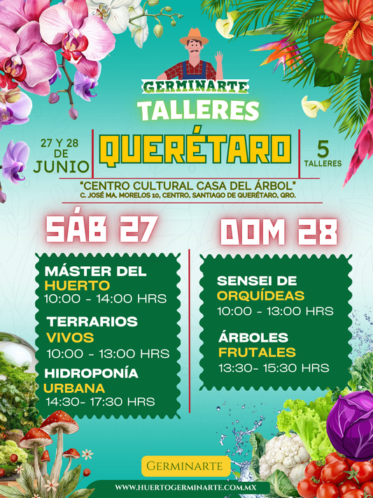 Querétaro 27 y 28 de Junio