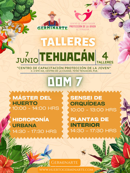 Tehuacán 7 de Junio