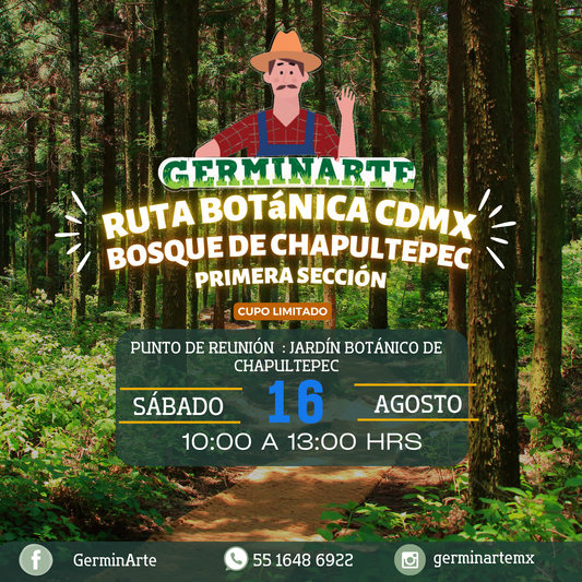 Ruta Botánica en Chapultepec 16 de agosto