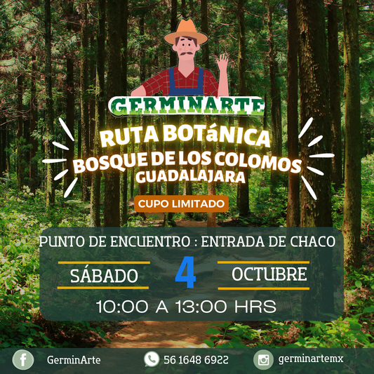 RUTA BOTÁNICA BOSQUE DE COLOMOS