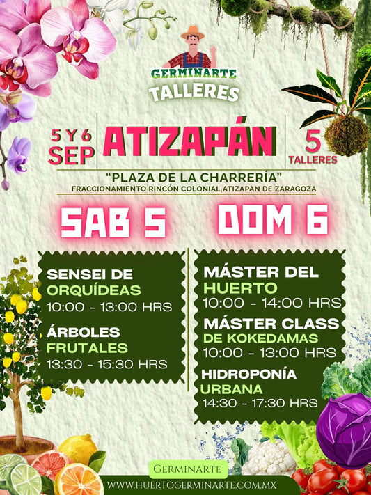 Atizapán 5 y 6 de septiembre