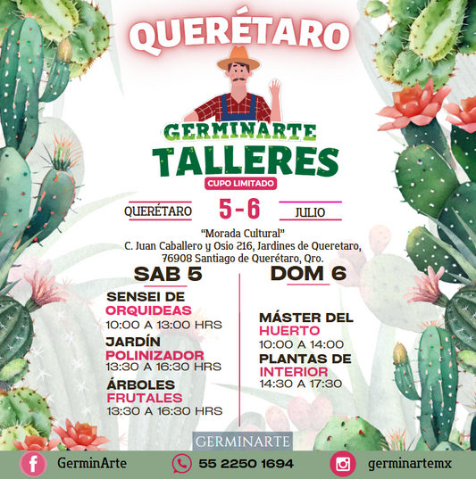 Querétaro sáb 5 y dom 6