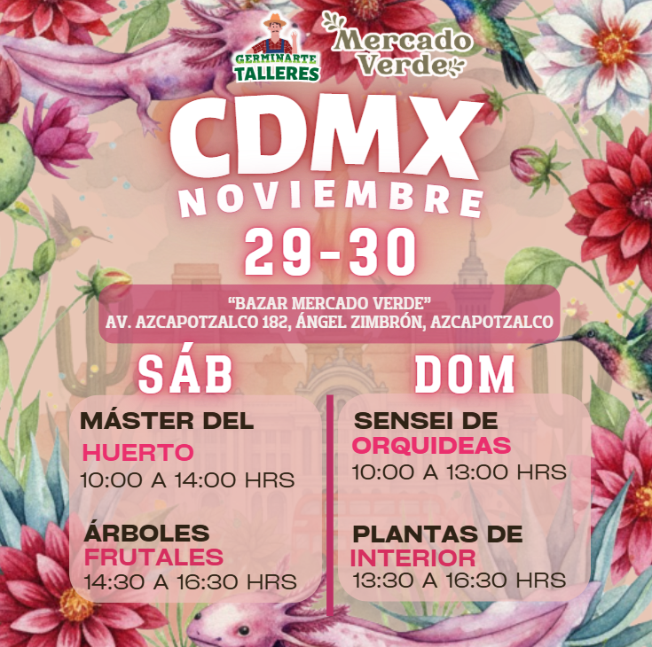 CDMX
