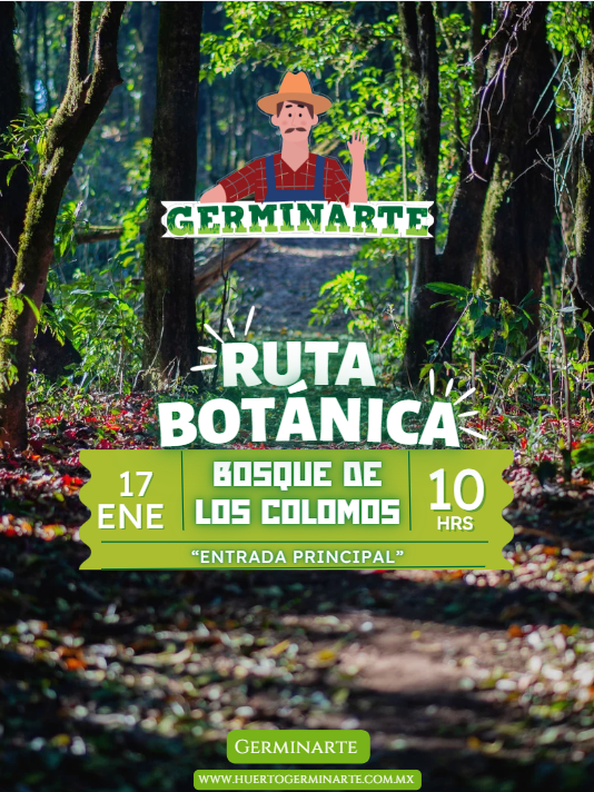 Ruta Botánica Bosque de los colomos 17 de enero