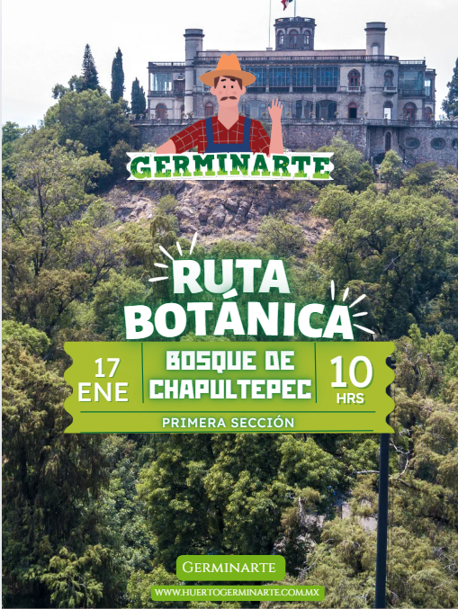 Ruta Botánica Chapultepec 17 de enero