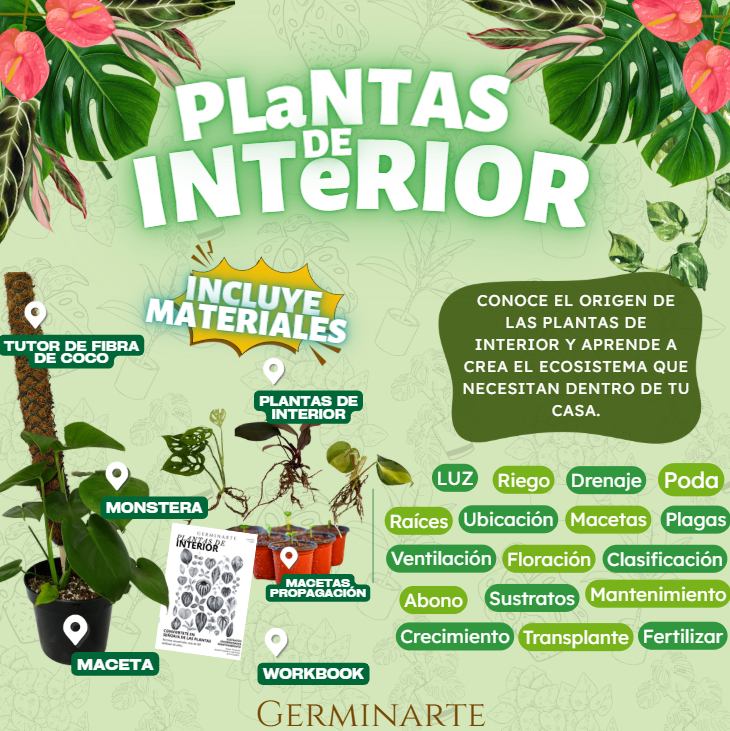 TLAXCALA 14 DE JUNIO