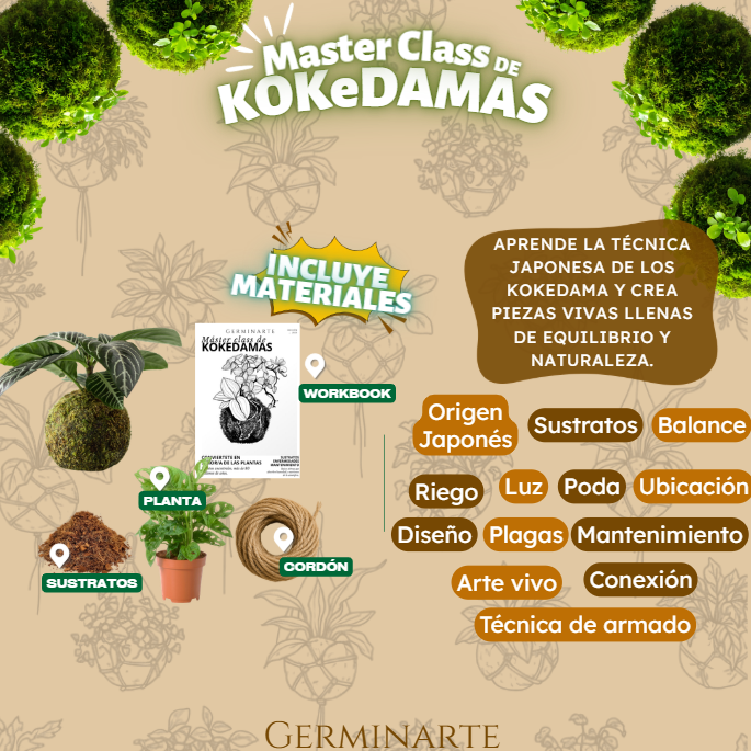 GUADALAJARA 17 Y 18 DE ENERO