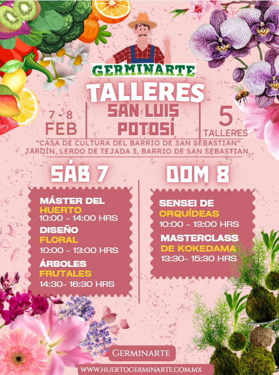 SAN LUIS POTOSÍ 7 Y 8 DE FEBRERO