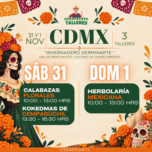 CDMX 31 Y 1 NOVIEMBRE