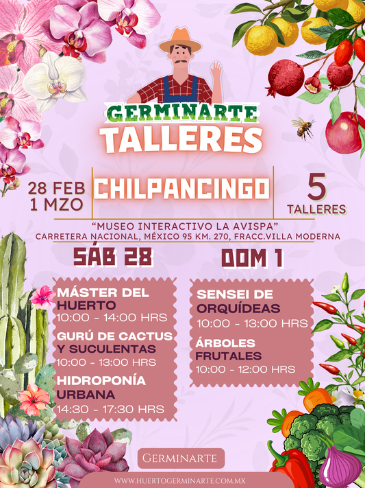 CHILPANCINGO 28 FEB Y 1 MZO