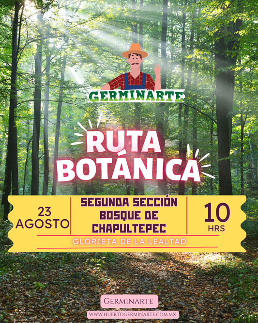 Ruta Botánica Segunda Sección de Chapultepec
