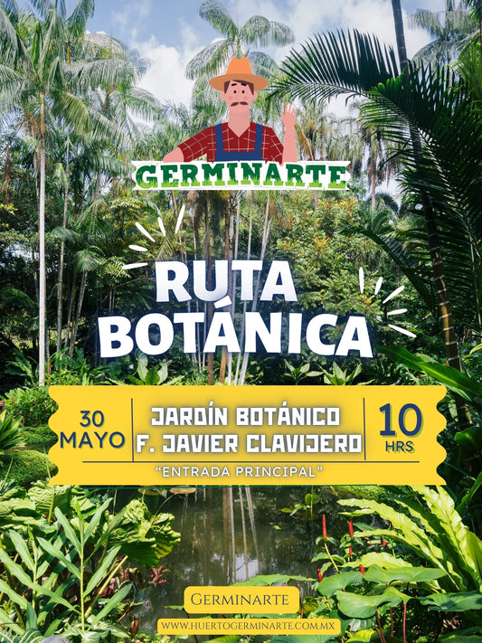 Ruta Botánica Jardín Botánico Javier Clavijero 30 de mayo