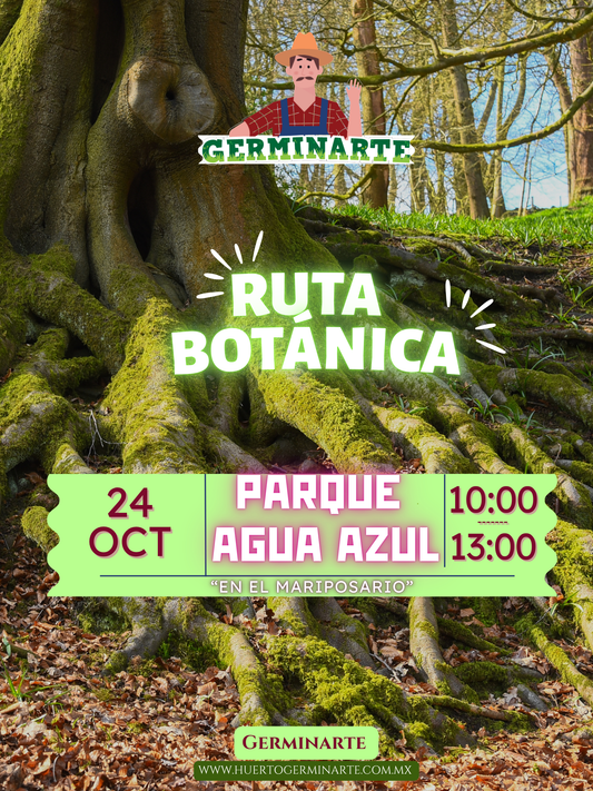 Ruta Botánica Parque Agua Azul 24 de Octubre