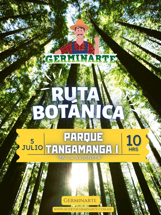 Ruta Botánica 5 Julio Parque Tangamanga I