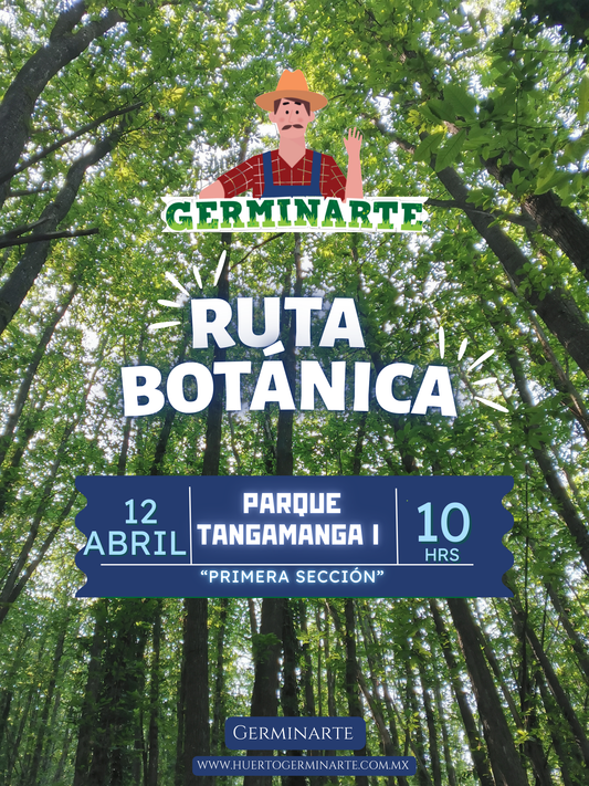 Ruta Botánica Parque Tangamanga I