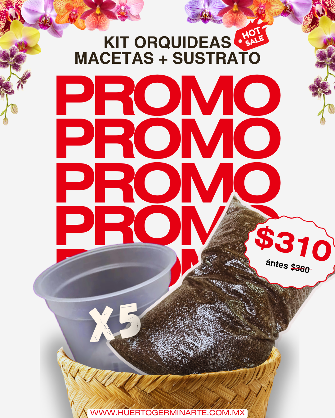 Kit Macetas y sustratos para orquídeas