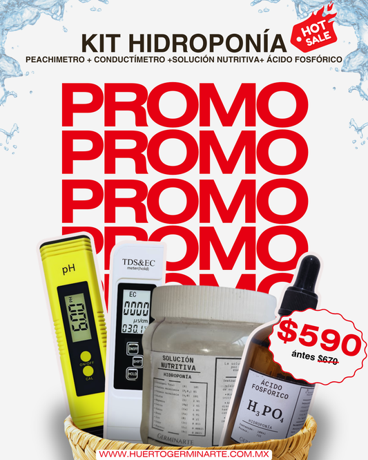 Kit Hidroponia