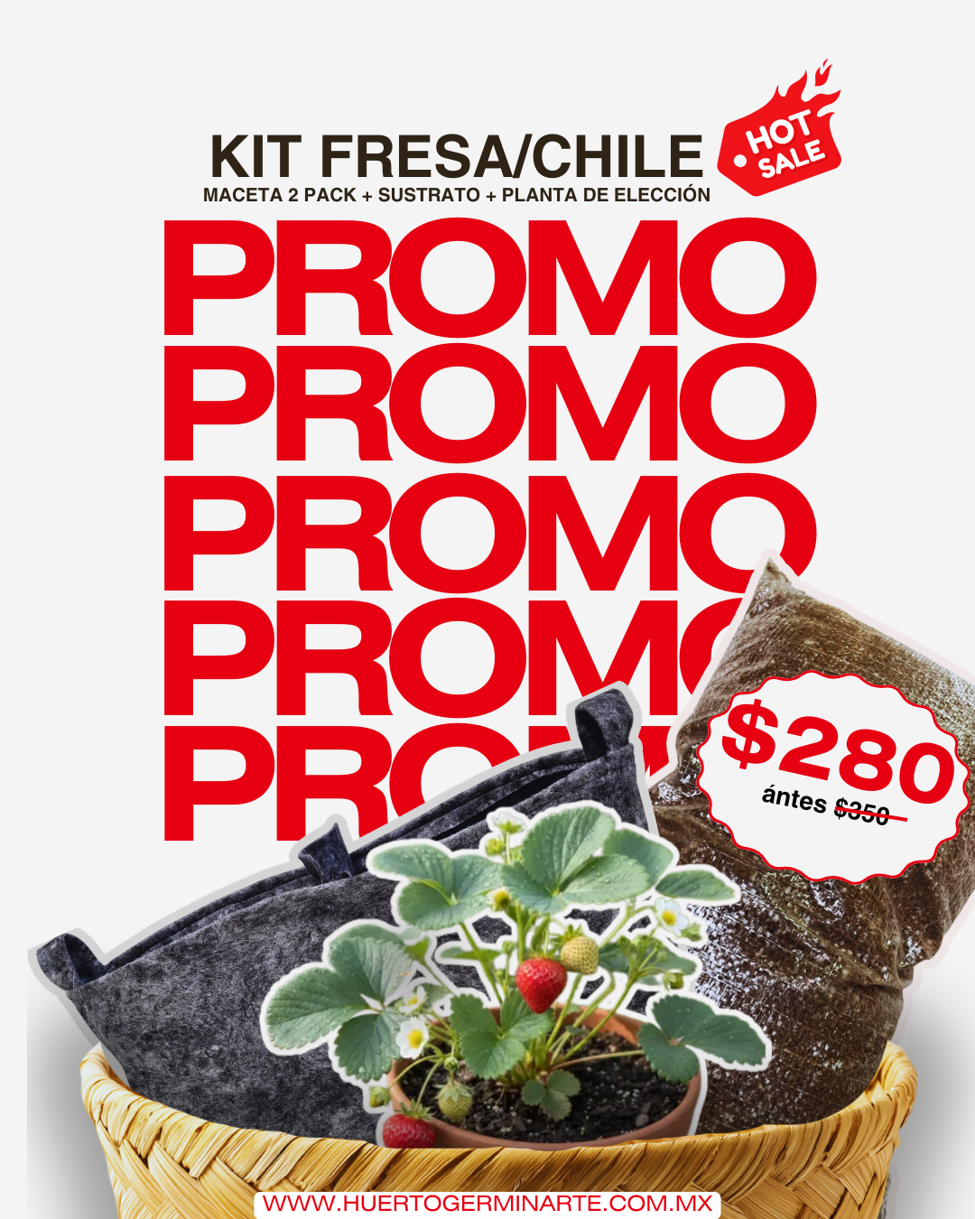 Kit Fresa/Chile