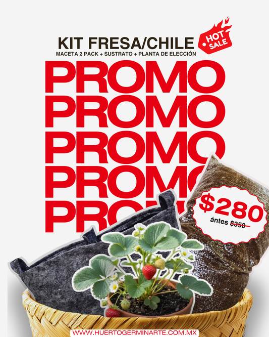 Kit Fresa/Chile