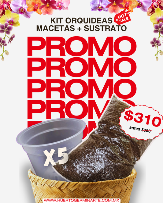 Kit Macetas y sustratos para orquídeas