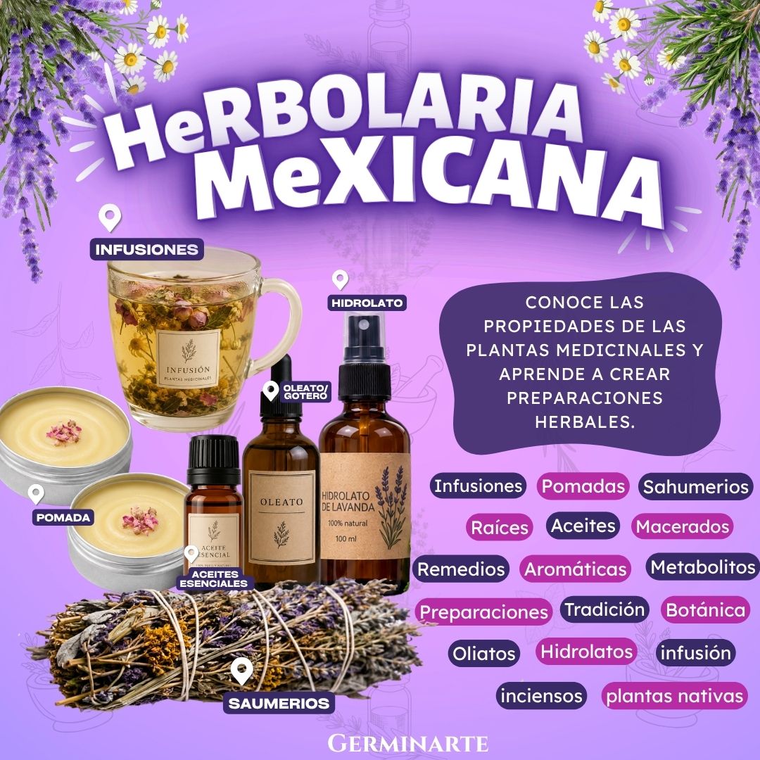 OAXACA 26 Y  27 SEPTIEMBRE