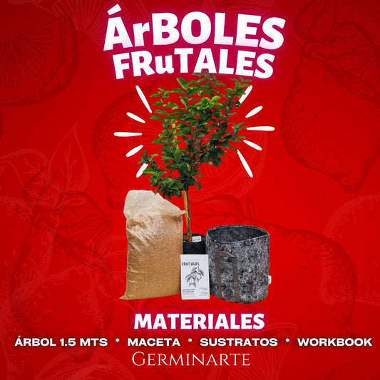 ÁRBOLES FRUTALES