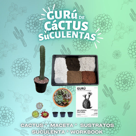 GURÚ DE CACTUS Y SUCULENTAS