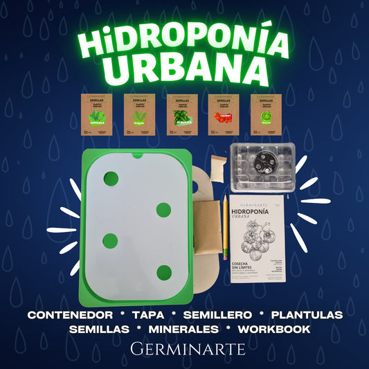 HIDROPONÍA URBANA
