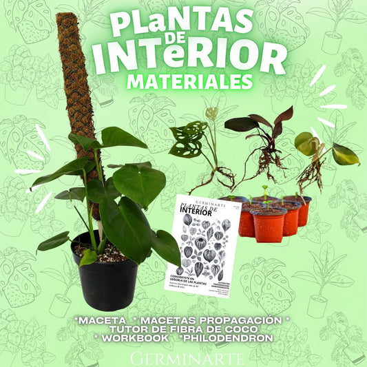 PLANTAS DE INTERIOR