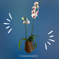 Arreglo de Orquídeas – 2 varas en maceta de cristal🌸