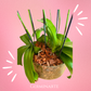 Arreglo de Orquídeas – 6 varas florales en maceta de cristal 🌸