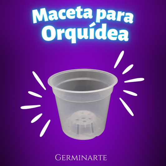 Maceta para Orquídea