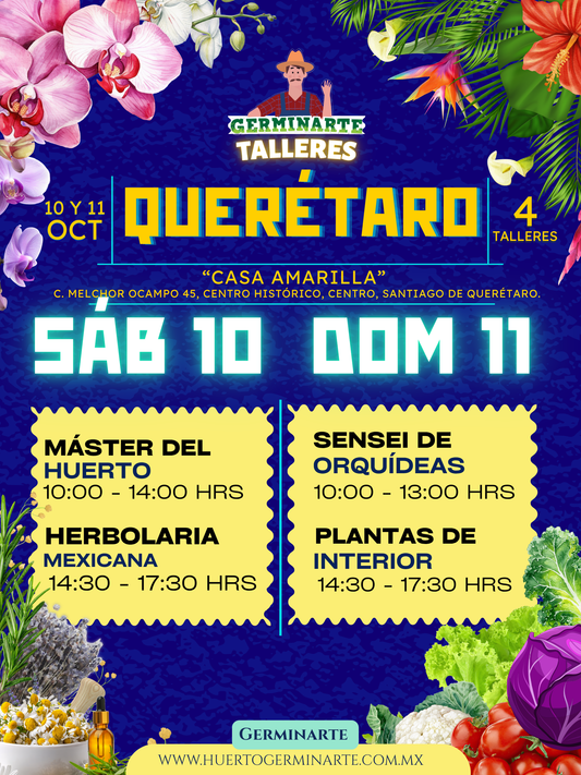 Querétaro 10 y 11 de octubre