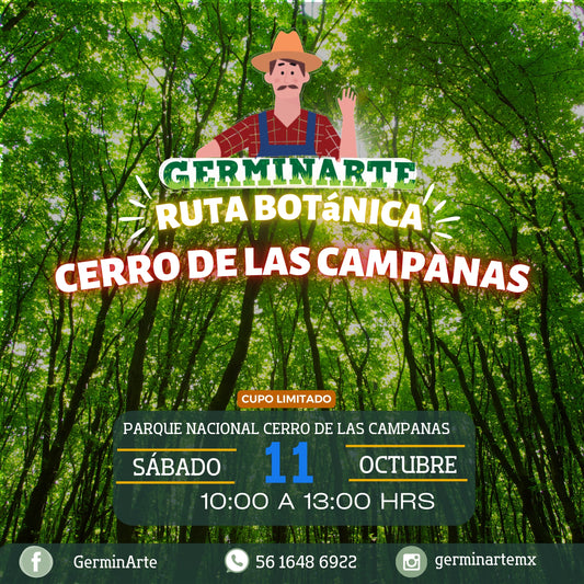 RUTA BOTÁNICA CERRO DE LAS CAMPANAS