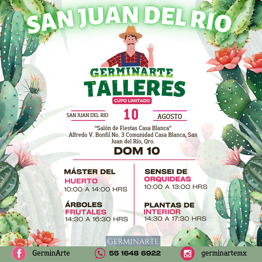 SAN JUAN DEL RIO 10 DE AGOSTO