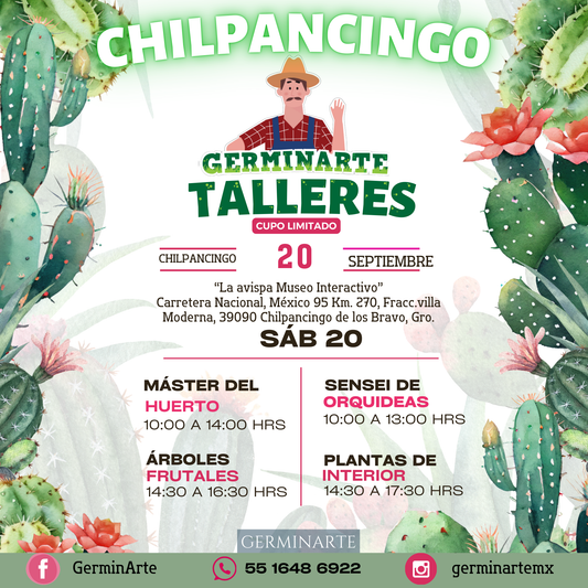 CHILPANCINGO