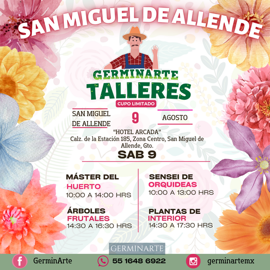 SAN MIGUEL DE ALLENDE 9 DE AGOSTO