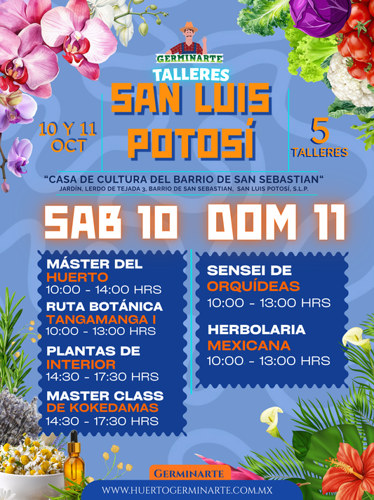 San Luis Potosí 10 y 11 de Octubre