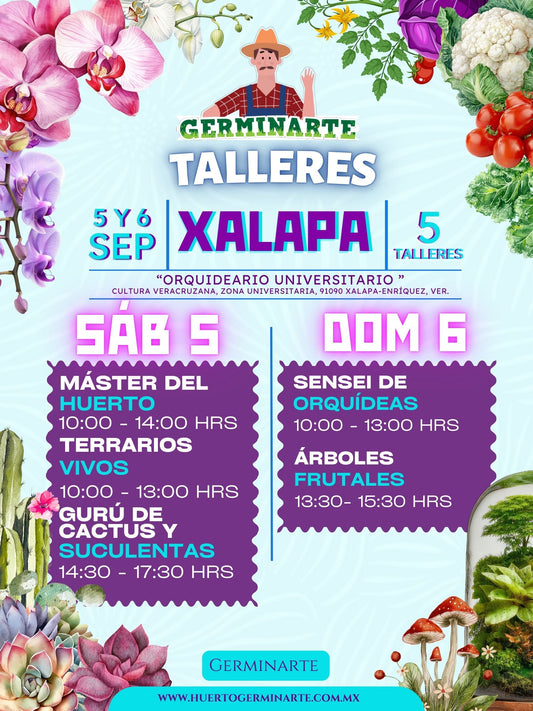 XALAPA 5 y 6 de septiembre
