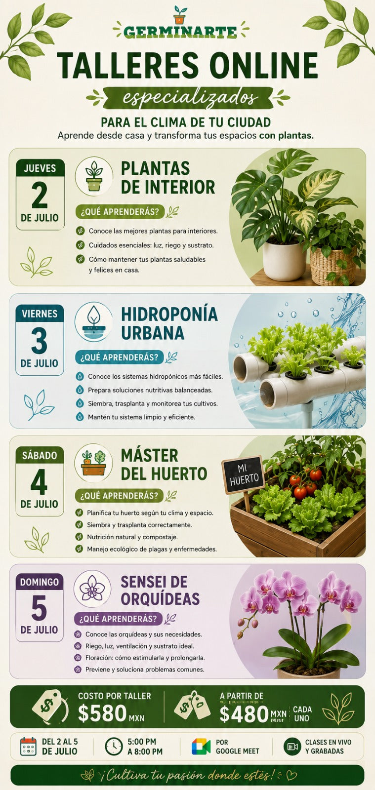 Talleres Online: Tijuana, Hermosillo, Tampico, Mexicali, Reynosa