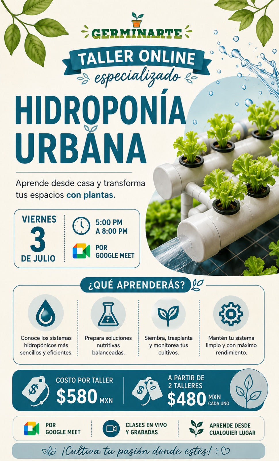 Talleres Online: Tijuana, Hermosillo, Tampico, Mexicali, Reynosa