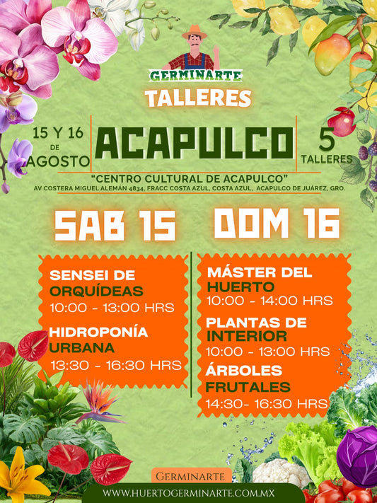Acapulco 15 y 16 de Agosto