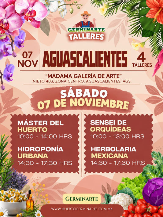 Aguascalientes Sábado 7 de noviembre