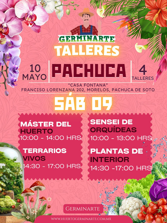 PACHUCA 10 DE MAYO- EDICIÓN ESPECIAL DÍA DE LAS MADRES