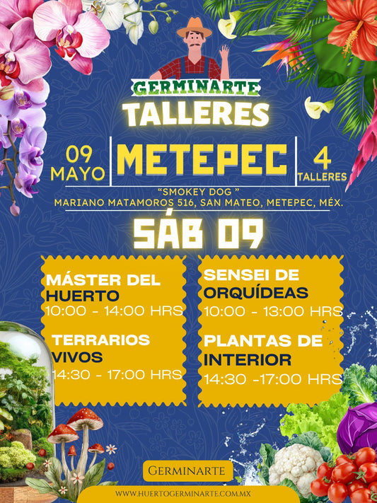METEPEC 9 DE MAYO- EDICIÓN ESPECIAL DÍA DE LAS MADRES