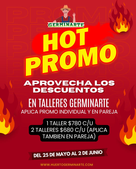TLAXCALA 14 DE JUNIO