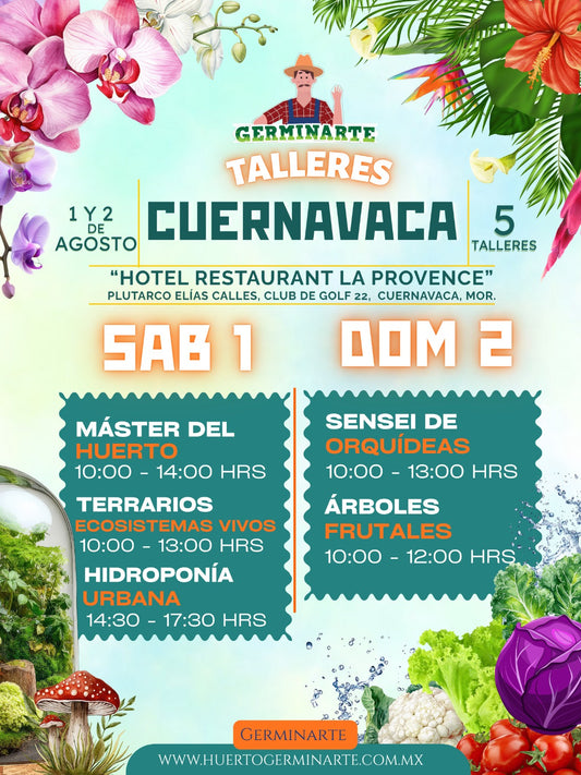CUERNAVACA 1 Y 2 DE AGOSTO